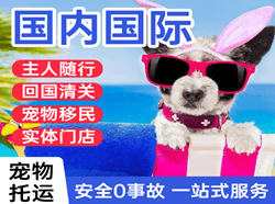 天府机场托运国际宠物托运 【国